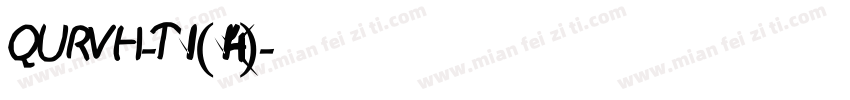 QURVH-T1 (14)字体转换